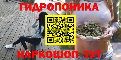 apvp Сланцы