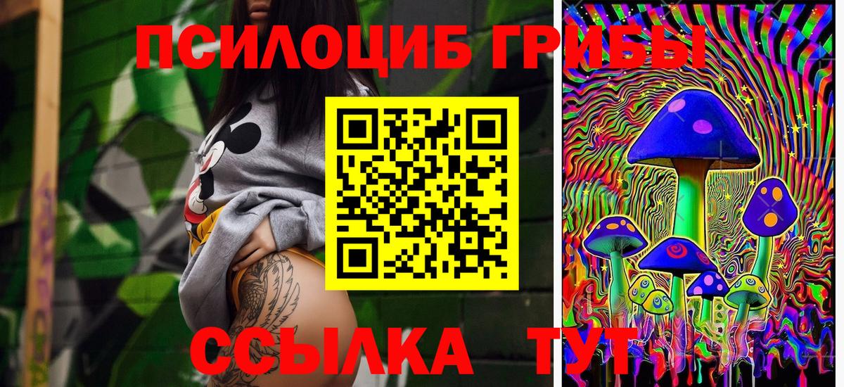 Галлюциногенные грибы Cubensis  Вход с VPN  Галлюциногенные грибы GOLDEN TEACHER  Ливны 